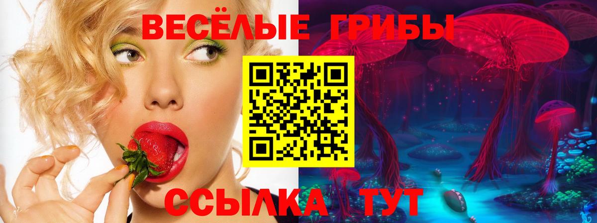 Псилоцибиновые грибы GOLDEN TEACHER Георгиевск